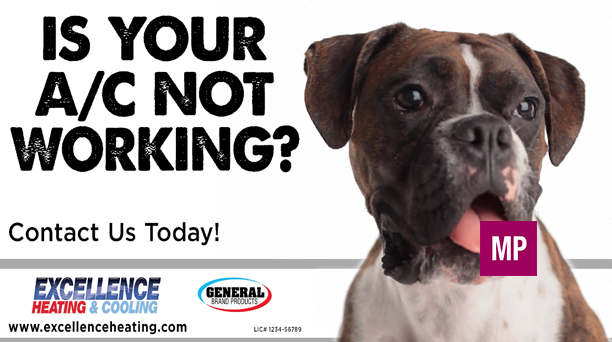 Dog Ac Working2 Thumbnail